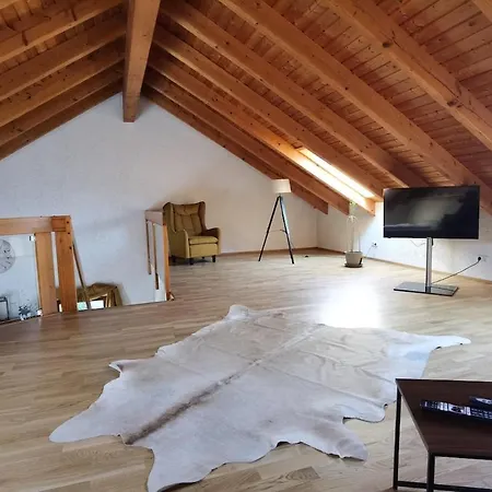 Loft Mit Kamin Scheuring